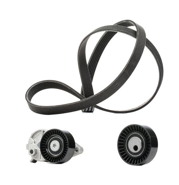 RIDEX PLUS 542R0388P: Juego de correas trapeciales poli V