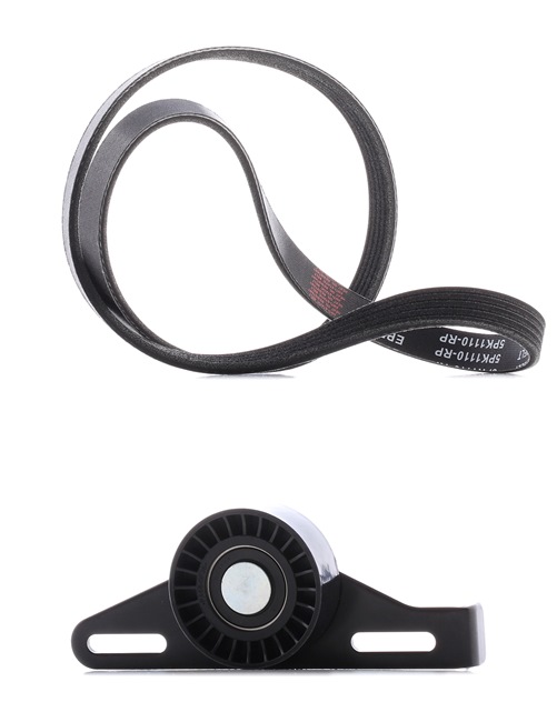 RIDEX PLUS 542R0138P Jogo de correias trapezoidais estriadas RENAULT CLIO 2 (BB0/1/2, CB0/1/2) 117 cv Gasolina/etanol custo