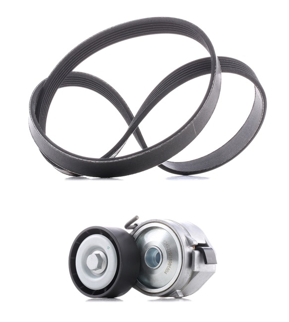 RIDEX PLUS 542R0085P Keilrippenriemensatz CITROЁN C5 3 (RD) 204 PS Diesel Kosten