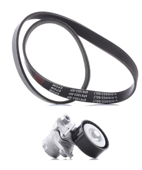 RIDEX PLUS 542R0463P Σετ ιμάντων poly-V SEAT Toledo 4 (KG3) 90 PS Βενζίνη κόστος