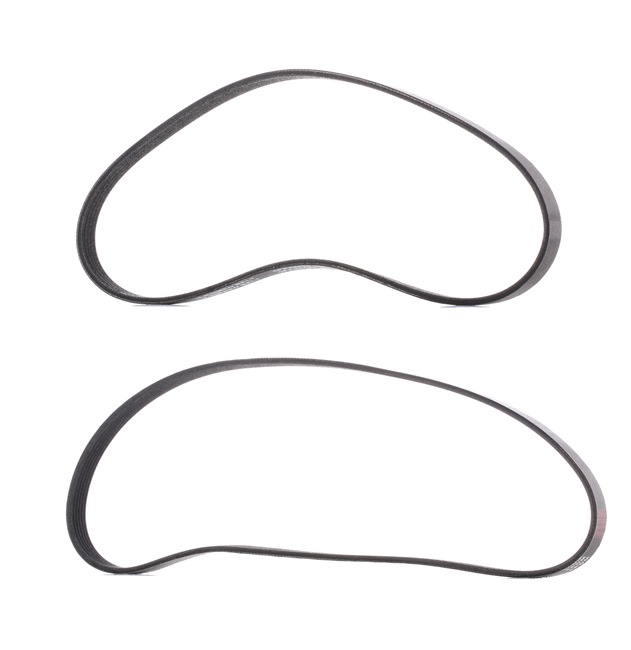 RIDEX PLUS 542R0033P: Juego de correas trapeciales poli V
