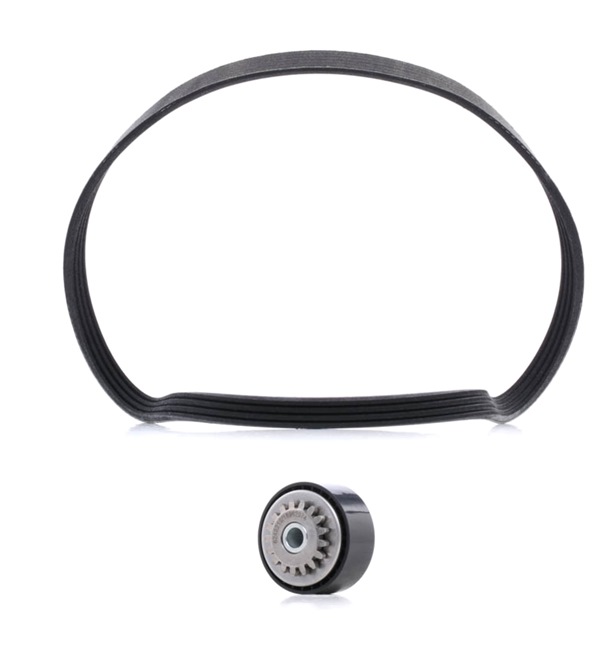 RIDEX PLUS 542R0497P Jogo de correias trapezoidais estriadas RENAULT CLIO 2 (BB0/1/2, CB0/1/2) 54 cv Gasolina custo