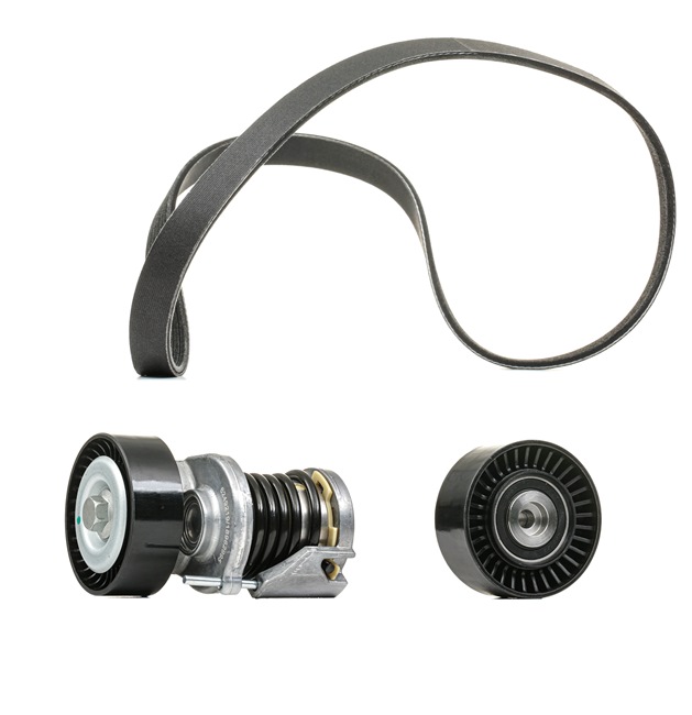 RIDEX PLUS 542R0326P Keilrippenriemensatz VW Multivan 5 (7HM 2.0 TDI 84 PS Diesel