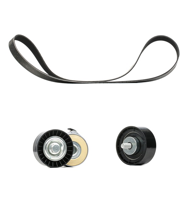 RIDEX PLUS 542R0491P Poly V-riem set IVECO DAILY 5 Pritsche/Fahrgestell 126 Pk Diesel kosten