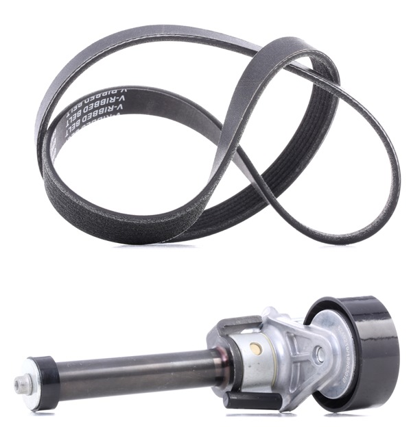 RIDEX PLUS 542R0390P Poly V-riem set VOLKSWAGEN Passat Variant (3C5) 152 Pk Benzine kosten