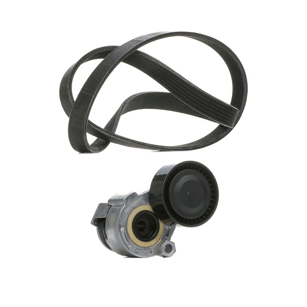 RIDEX PLUS 542R0170P Kit Cinghie Poly-V RENAULT MODUS / GRAND MODUS (F/JP0_) 112 CV Benzina costo