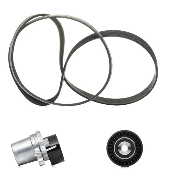 RIDEX PLUS 542R0315P Poly V-riem set RENAULT SCÉNIC IV (J9_) 120 Pk Diesel kosten