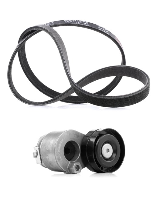 RIDEX PLUS 542R0179P Poly V-riem set RENAULT TRAFIC 2 Bus (JL) 120 Pk Benzine kosten