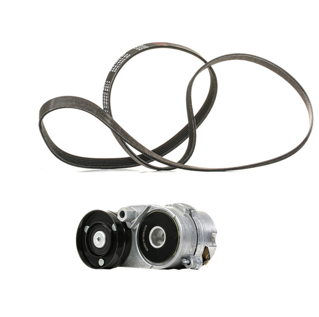 RIDEX PLUS 542R0534P Σετ ιμάντων poly-V AUDI A4 Avant (8E5, B6) 170 PS Βενζίνη κόστος