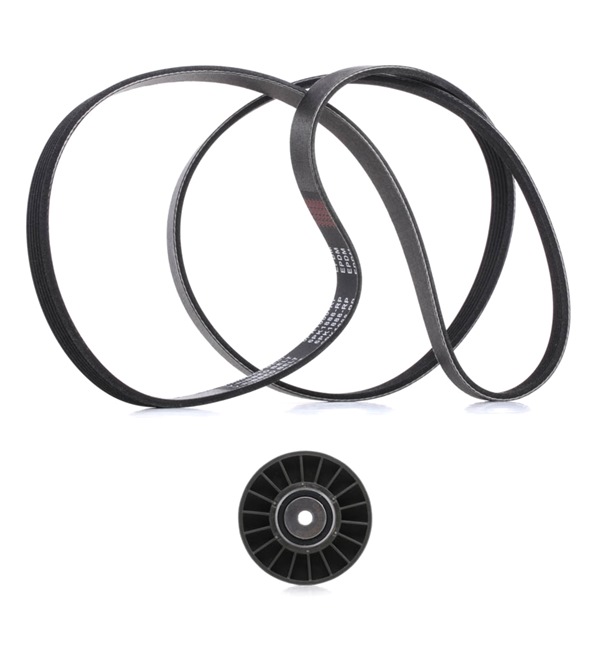 RIDEX PLUS 542R0123P: Juego de correas trapeciales poli V