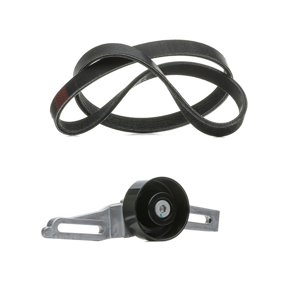 RIDEX PLUS 542R0242P Poly V-riem set PEUGEOT 106 I (1A, 1C) 50 Pk Benzine kosten