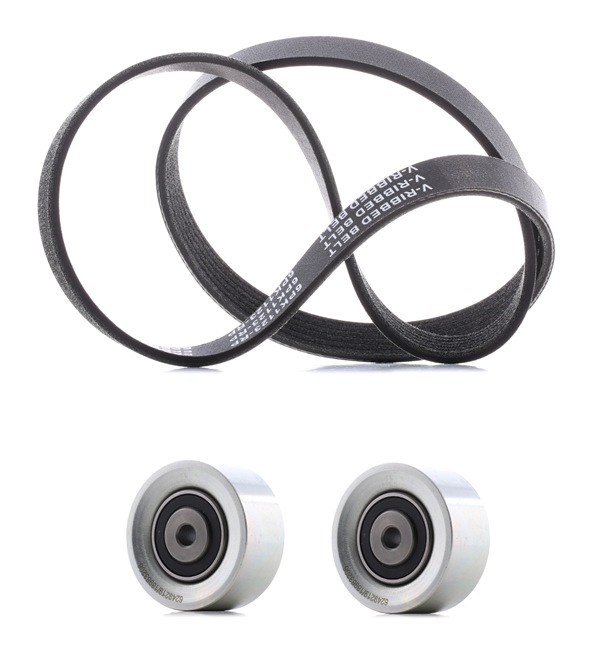 RIDEX PLUS 542R0465P Комплект пистов ремък CITROЁN C3 I Хечбек (FC_, FN_) 110 K.C. бензин цена