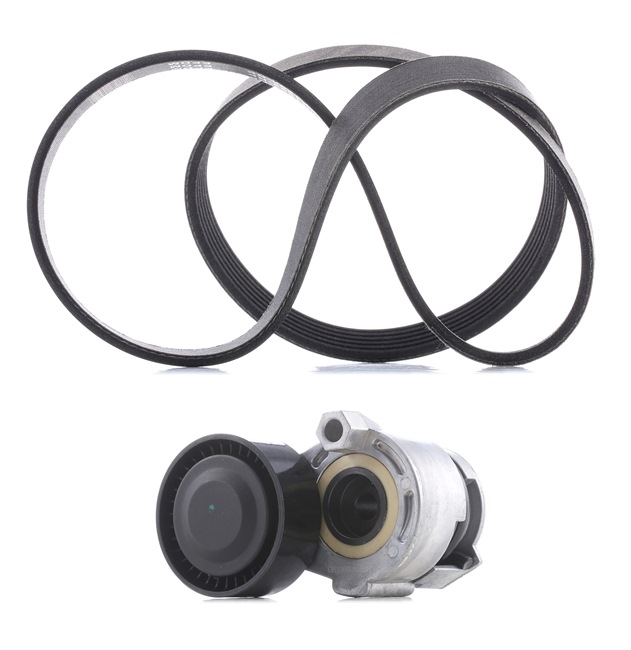 RIDEX PLUS 542R0215P Комплект пистов ремък HONDA Jazz 2 (GD_, GE3, GE2) 86 K.C. бензин цена