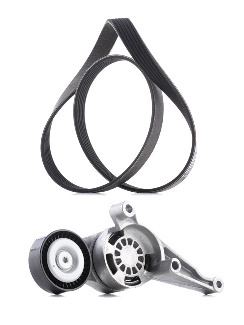 RIDEX PLUS 542R0115P Комплект пистов ремък VW Golf 5 (1K5) 140 K.C. дизел цена