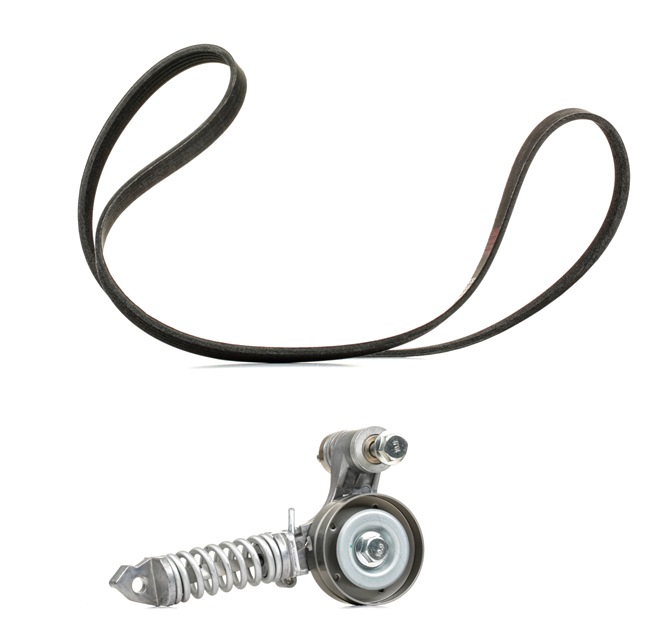 RIDEX PLUS 542R0396P: Kileremsett