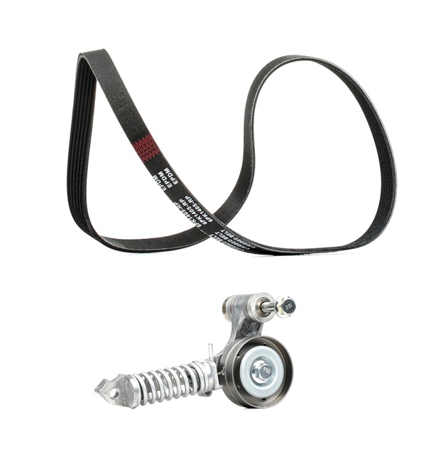 RIDEX PLUS 542R0481P: Poly V-riem set