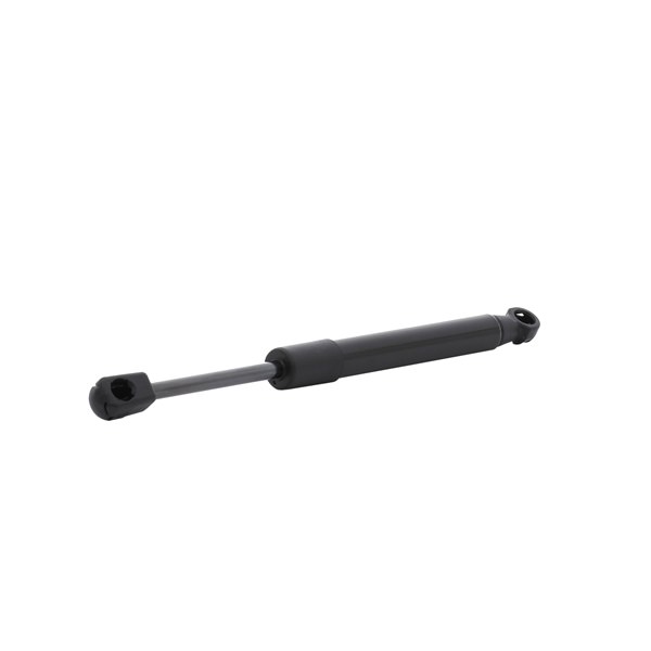 RIDEX 514G0193 Gāzes atspere, Motora pārsegs RENAULT SCENIC 3 (JZ0/1) 95 ZS Dīzelis cena