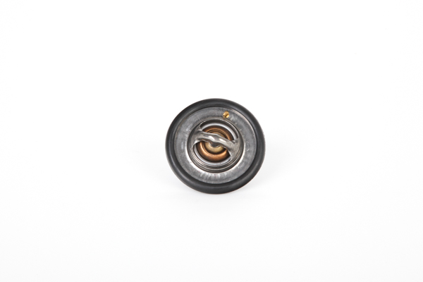 Continental 28.0200-4160.2 Termostatas, aušinimo skystis MG MGF (RD) 160 AG benzinas kaina