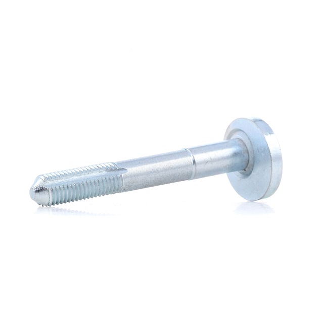 Oyodo 20Z9029-OYO Sturzkorrekturschraube AUDI A4 Cabrio (8H7, B6, 8HE, B7) 220 PS Benzin Kosten