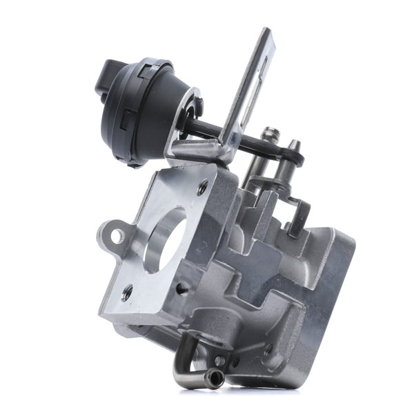 RIDEX 4198E0187 EGR module AUDI A4 Cabrio (8H7, B6, 8HE, B7) 180 Pk Diesel kosten