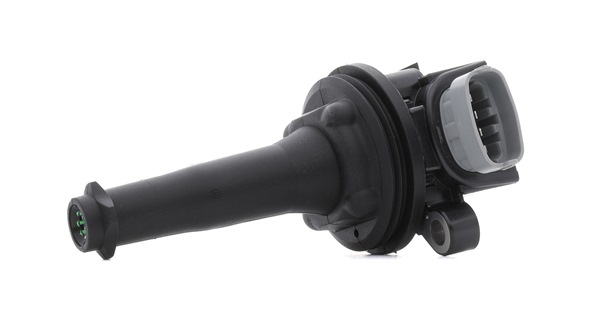 RIDEX PLUS 689C0089P Uždegimo ritė VOLVO S60 II (134) 254 AG benzinas kaina