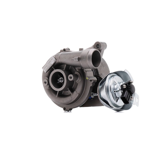 RIDEX REMAN 2234C0244R: Turbosuflantă