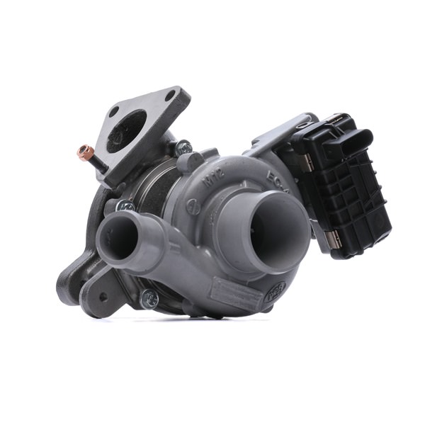 RIDEX REMAN 2234C10150R Turbolader FORD Transit Custom V362 Minibuss (F3) 125 hk Diesel hva koster