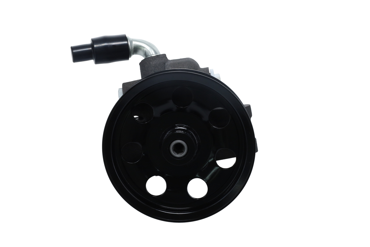 BOSCH K S02 000 005: Servopumpe