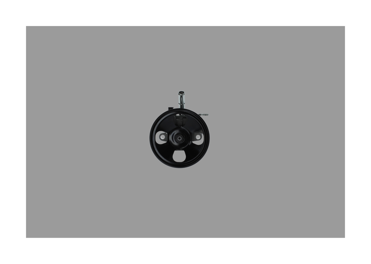 BOSCH K S02 000 037: Servopumpe