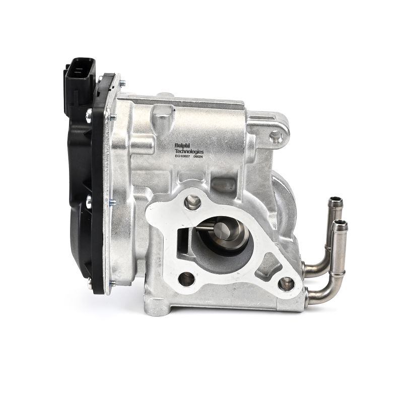 DELPHI EG10607-12B1: Βαλβίδα AGR χωρίς ψυγείο AGR