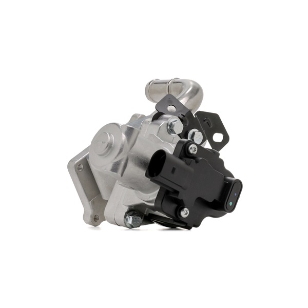 DELPHI EG10613-12B1: Zawór EGR