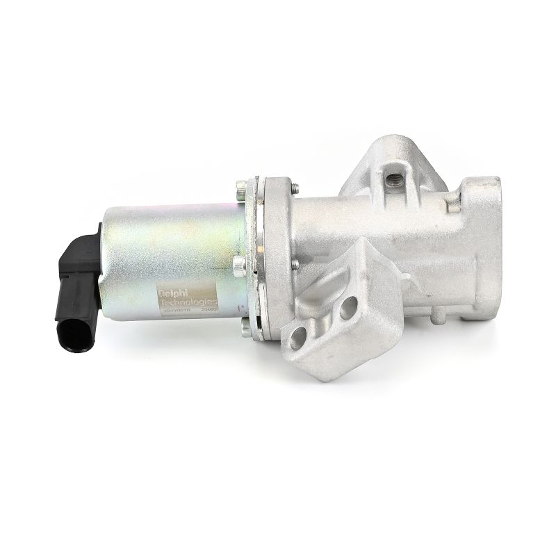 DELPHI EG10618-12B1: EGR klep Zonder AGR koeler