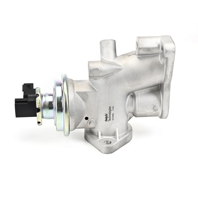 DELPHI EG10639-12B1: Βαλβίδα AGR