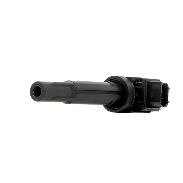 DELPHI GN11090-12B1 Bobina de encendido SUZUKI SWIFT 5 (AZ) 112 cv Gasolina costo
