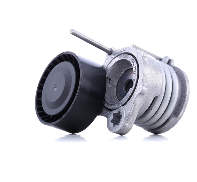 SNR GA350.65: Rola intinzator, curea transmisie Ř: 65mm