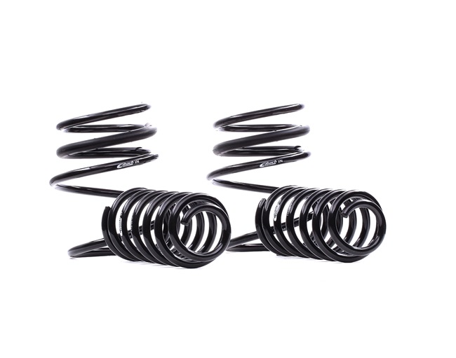 EIBACH Pro-Kit E10-57-001-03-22 Fahrwerksatz, Federn MINI Cabrio (R52) 90 PS Benzin Kosten