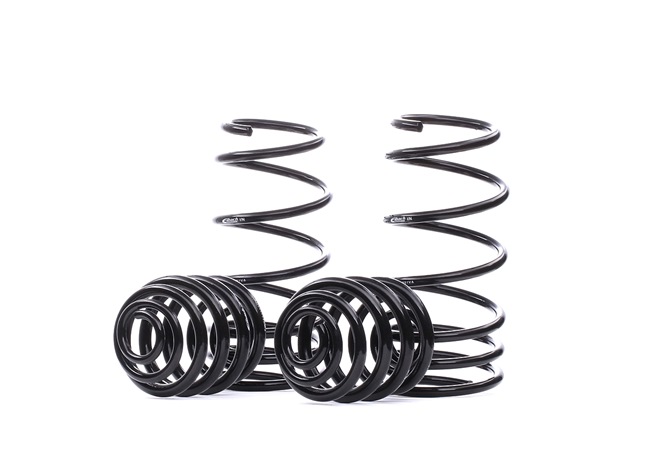 EIBACH Pro-Kit E10-75-001-02-22 Fahrwerksatz, Federn RENAULT CLIO 2 (BB0/1/2, CB0/1/2) 75 PS Benzin Kosten