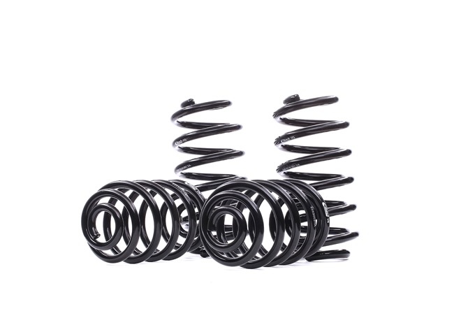 EIBACH Pro-Kit E10-85-002-06-22 Fahrwerksatz, Federn VW PASSAT (3B3) 101 PS Diesel Kosten