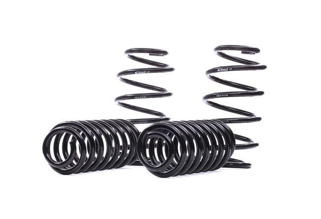 EIBACH E10-85-021-01-22: Set arcuri Pro-Kit