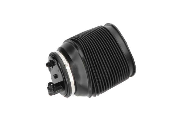 KAVO PARTS SAS-10012: Luftfeder, Fahrwerk Hinterachse rechts