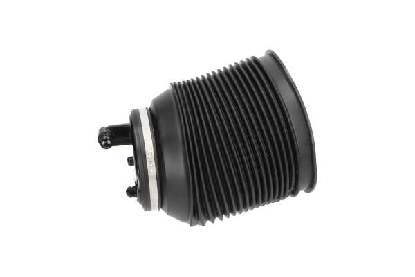 KAVO PARTS SAS-10016: Poduszka zawieszenia Oś tylna strona lewa