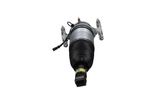KAVO PARTS SAS-10041: Amortyzator pneumatyczny Oś tylna strona prawa