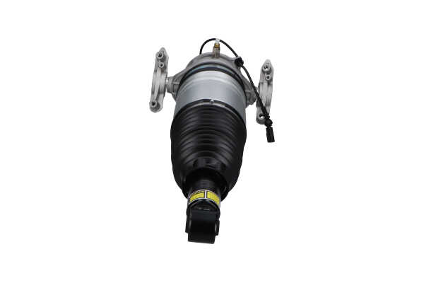 KAVO PARTS SAS-10042: Luftfederbein Hinterachse links