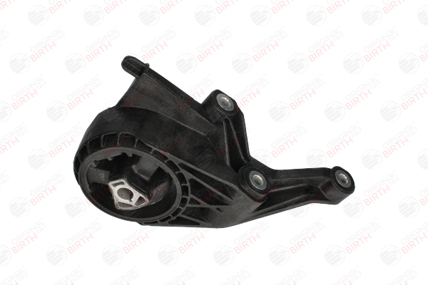 BIRTH 53558: Motorlager Vorderachse, unten