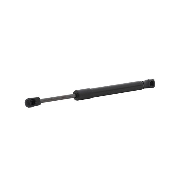 RIDEX 219G1242: Heckklappendämpfer beidseitig, Fahrzeugheckklappe, 295mm