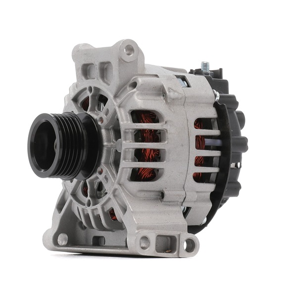 BV PSH 555.560.090.000: Laturi 90A