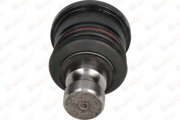 BIRTH CX9299: Traggelenk Vorderachse links, Vorderachse rechts, 24mm