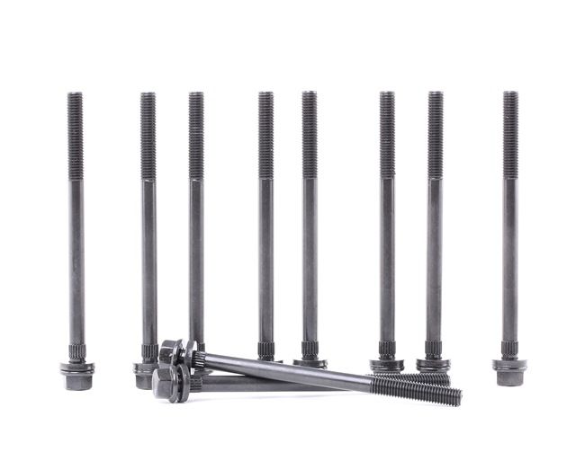 REINZ 14-32241-01: Sada skrutiek hlavy valcov 160mm, M10