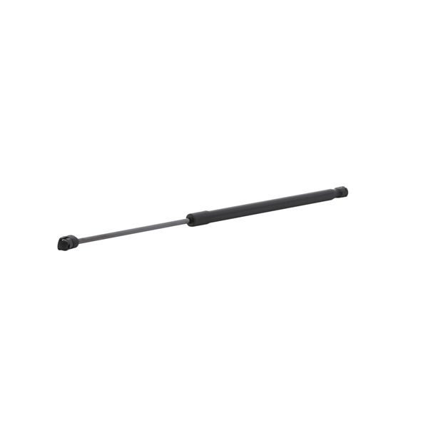 RIDEX 219G1253 Heckklappendämpfer Fahrzeugheckklappe, 540mm