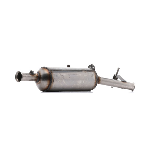 RIDEX 1256S0479: Filtru de particule cu material de atașare/fixare